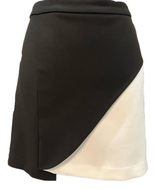 BCBG Skirt